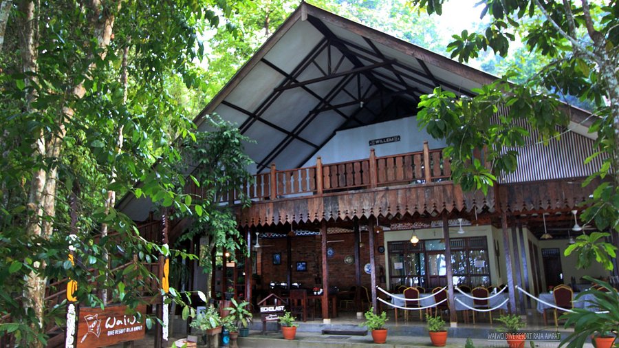 Waiwo Dive Resort Raja Ampat dengan bungalow tepi pantai dan pemandangan laut